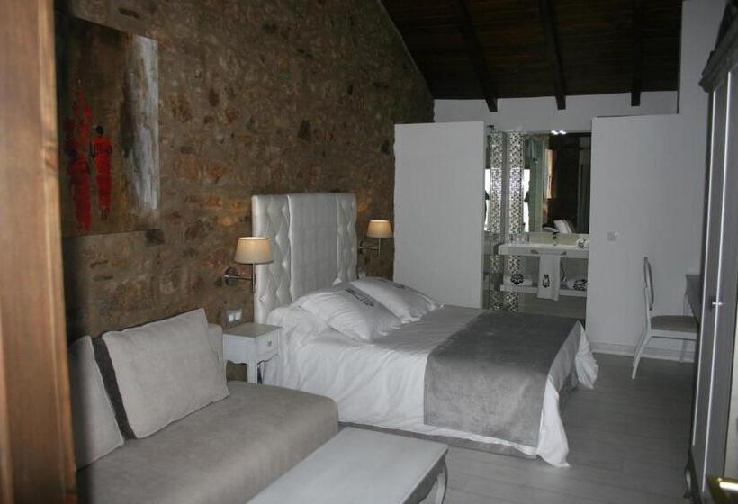 高级大房间, La Casa Del Médico Hotel Boutique