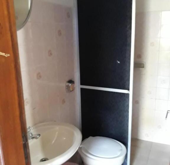 经济四人房间, Blue Star Ii