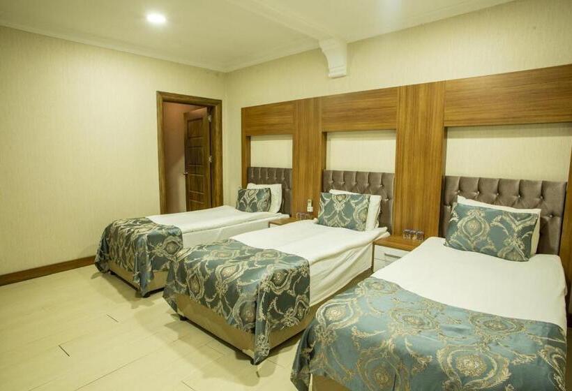 اتاق خانوادگی تودرتو, Bursa Palas