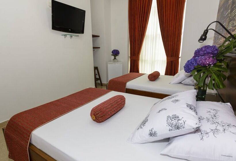 Номер Стандарт, Sauces Del Estadio