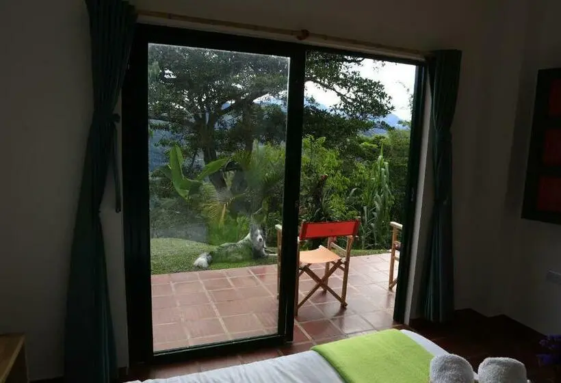 Standard-huone Puutarhanäkymä, Ecohotel Monteverde