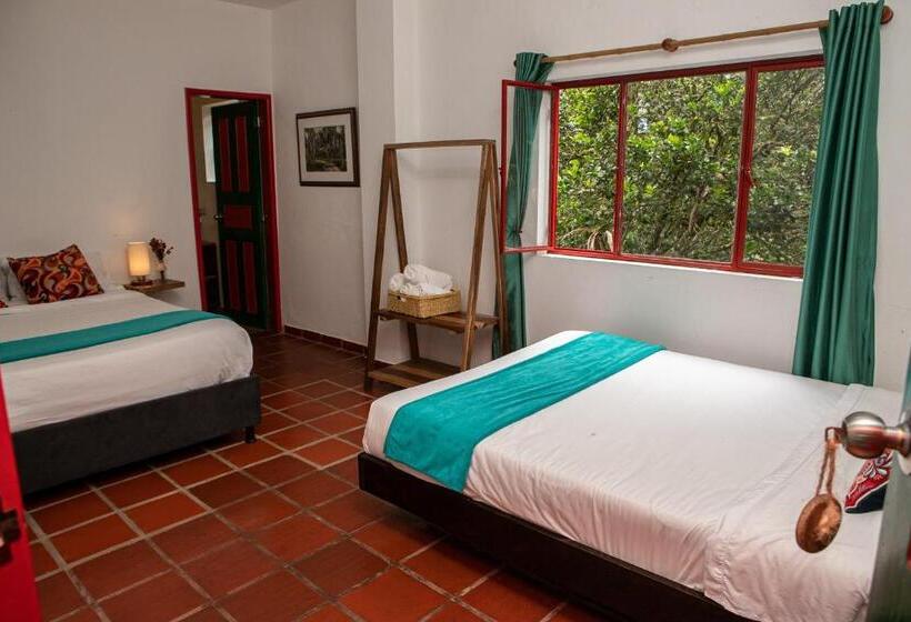 Quarto Superior, Ecohotel Monteverde
