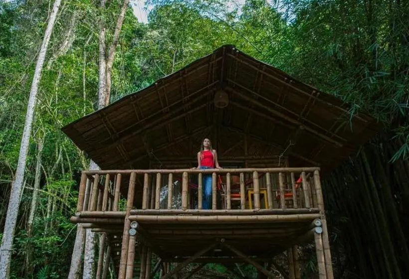 Deluxe-sviitti, Ecohotel Monteverde