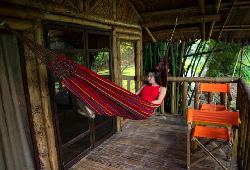 Suíte Deluxe, Ecohotel Monteverde