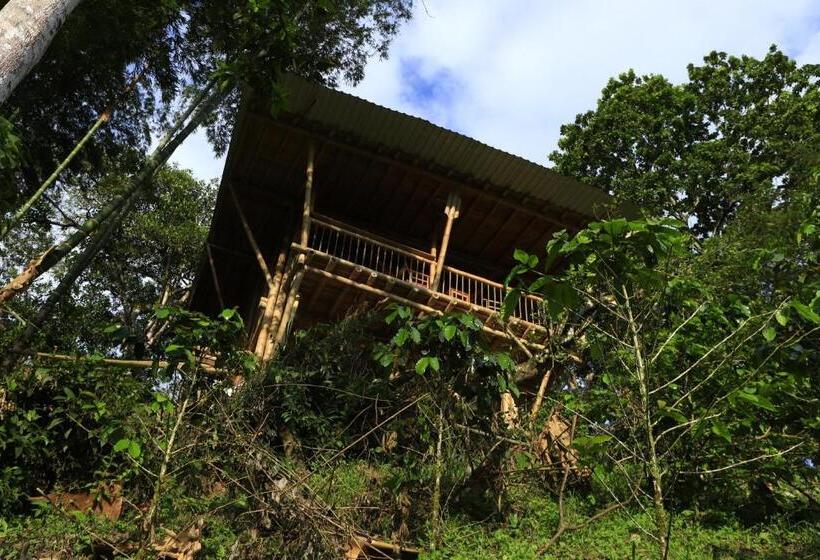 Люкс Повышенной Комфортности, Ecohotel Monteverde