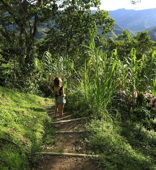 Люкс Повышенной Комфортности, Ecohotel Monteverde
