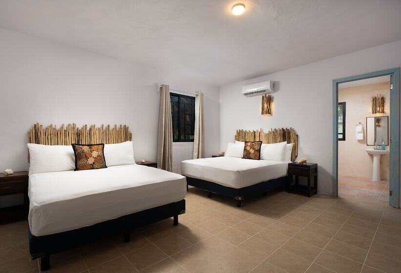 Quarto Estandar, Alito Tulum