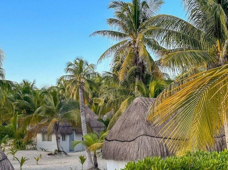 Номер Стандарт, Alito Tulum