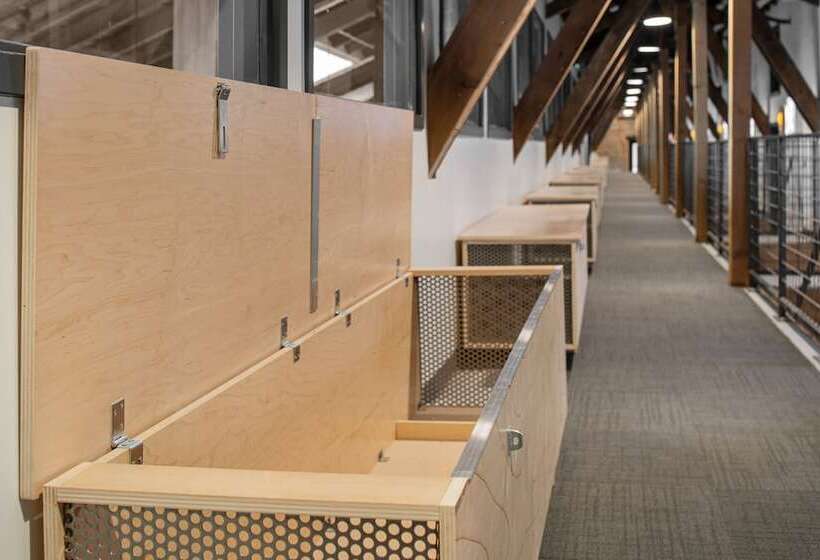 اتاق استاندارد با تخت دو نفره بزرگ, Evo Hotel Salt Lake City