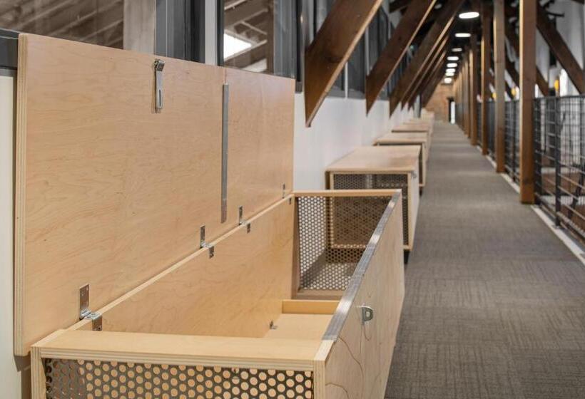 اتاق استاندارد با تخت دو نفره بزرگ, Evo Hotel Salt Lake City