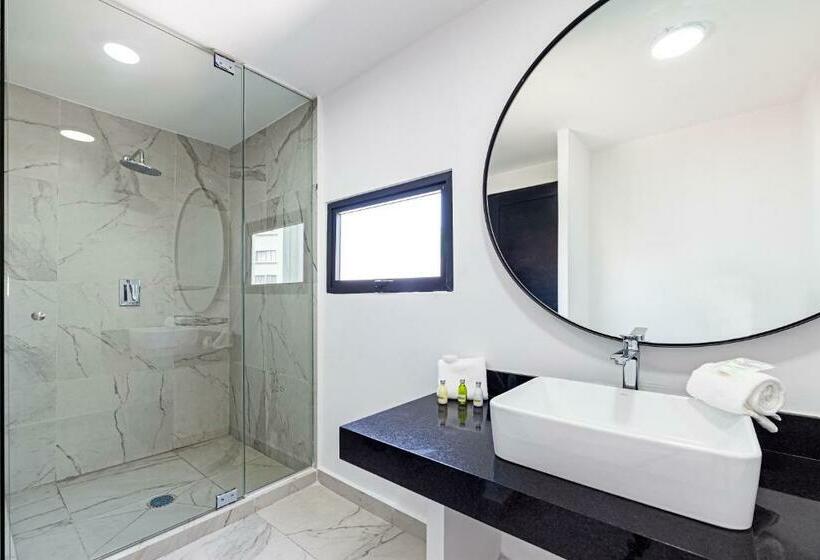 Suíte Júnior, Ph Masarik 17