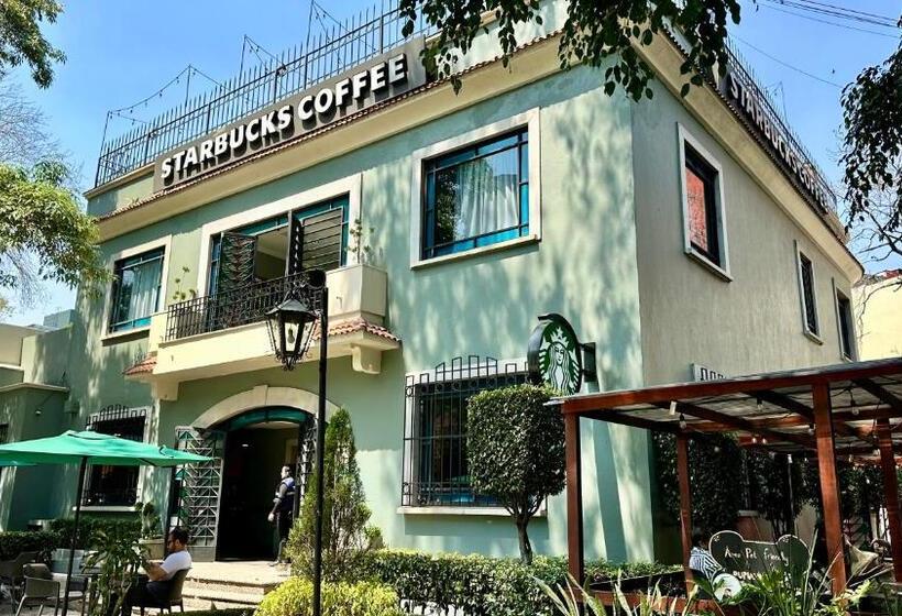 Suíte Júnior Deluxe, Ph Masarik 17