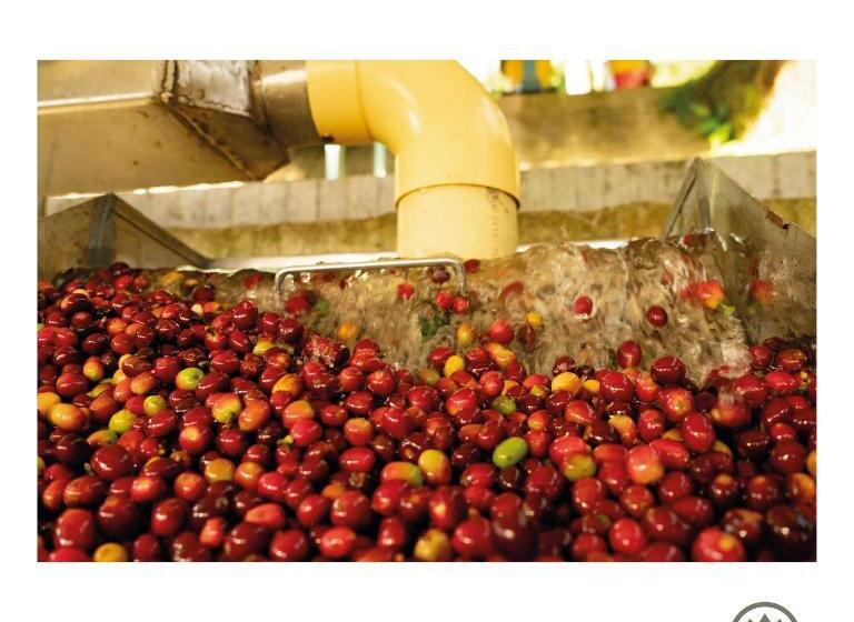 标准间带山景, El Fenix Coffee