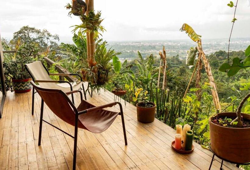 标准间带山景, El Fenix Coffee