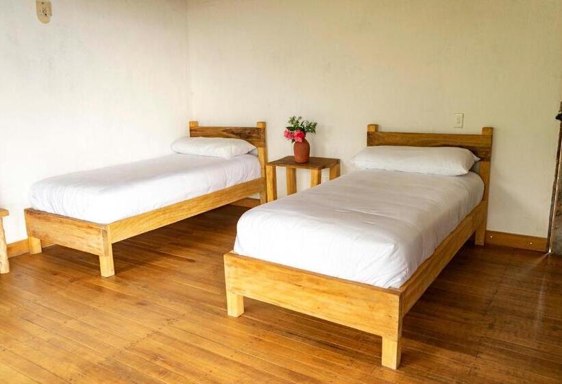 标准间带露台, El Fenix Coffee