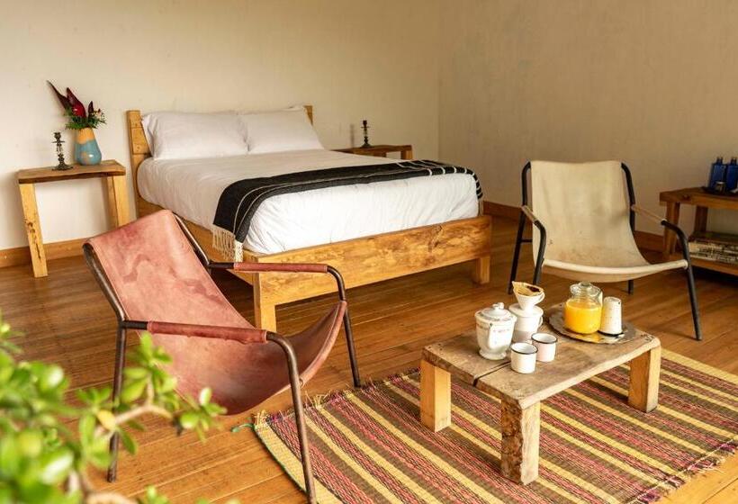 标准间带山景, El Fenix Coffee