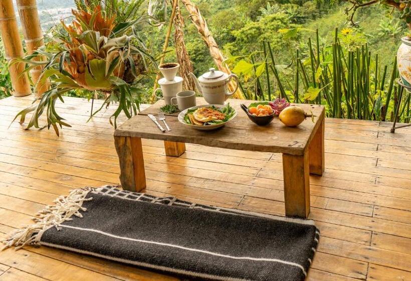 标准间带山景, El Fenix Coffee