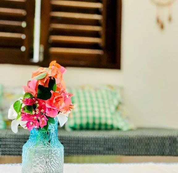 Apartamento 1 Dormitório Vista Mar, Pousada Tangerina