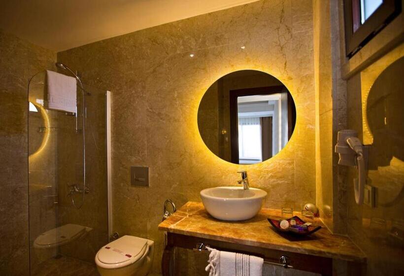 스탠다드 룸, Montana