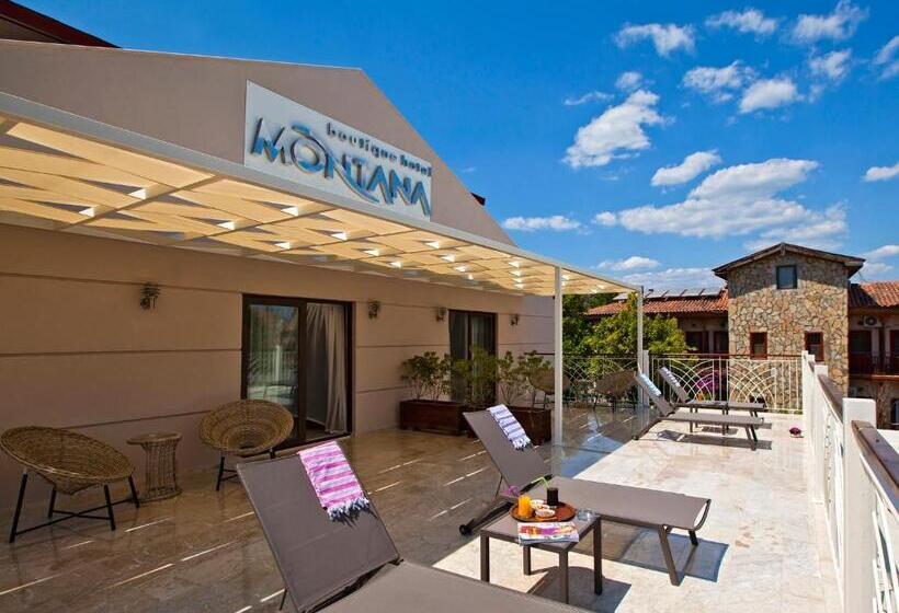 테라스 디럭스 룸, Montana