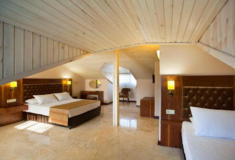 디럭스 트리플 룸, Montana