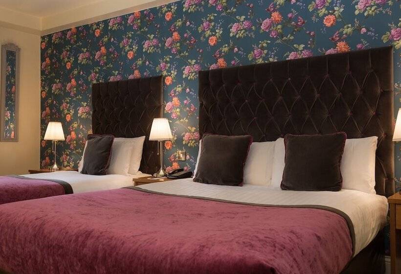 اتاق استاندارد یک نفره, Raheen Woods