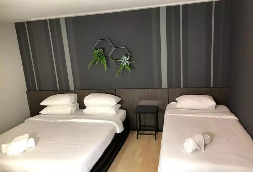 اتاق استاندارد سه نفره, Paragon Inn