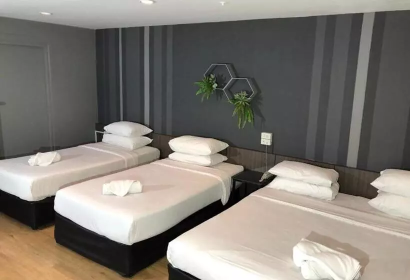 اتاق استاندارد چهار تخته, Paragon Inn