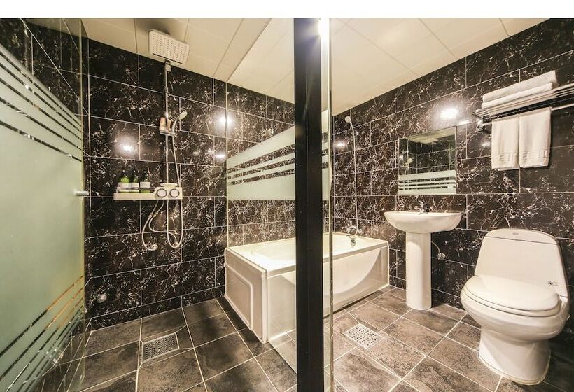 Camera Standard, Elysee