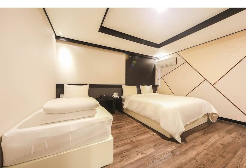 Camera Standard, Elysee