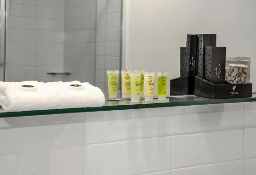 شقة إدارية غرفتين نوم, Pegasus Apart