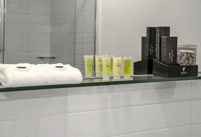 شقة إدارية غرفة واحدة, Pegasus Apart