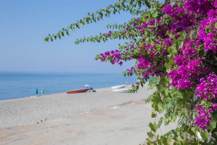 חדר סטנדרט לארבעה, B&b Casa Cosmano