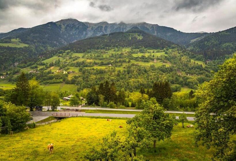 Апартаменты 1 Спальня с Видом, Bio Bauernhof Schweizerhof