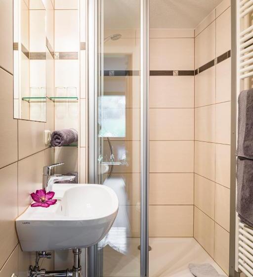 Апартаменты 1 Спальня с Видом, Bio Bauernhof Schweizerhof