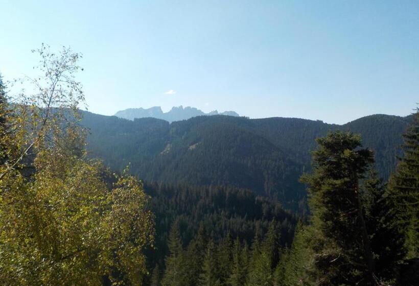 Номер Стандарт Трехместный, Plafãƒâ¶tschalm