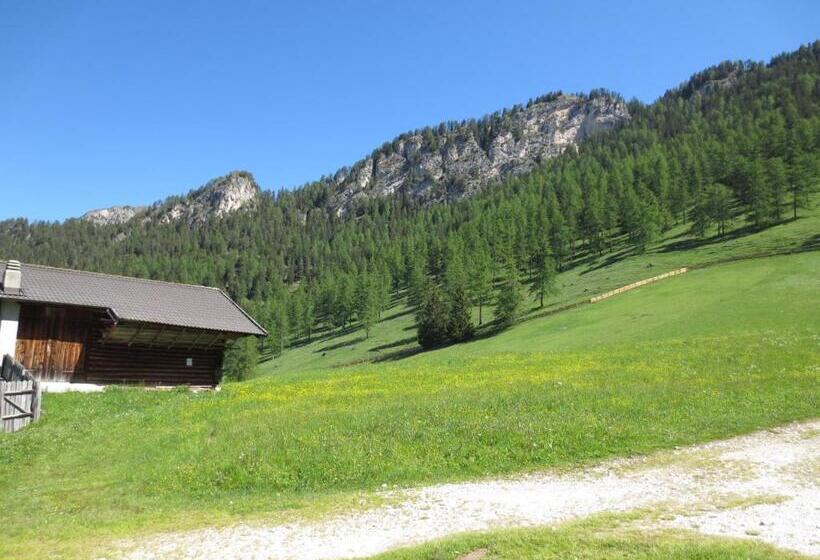 غرفة قياسية فردية, Plafãƒâ¶tschalm