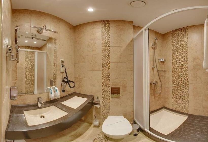 اتاق استاندارد, Degas