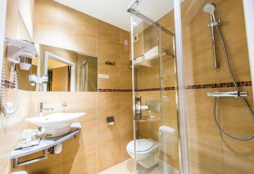 غرفة سوبيريور, Hôtel Au Lion