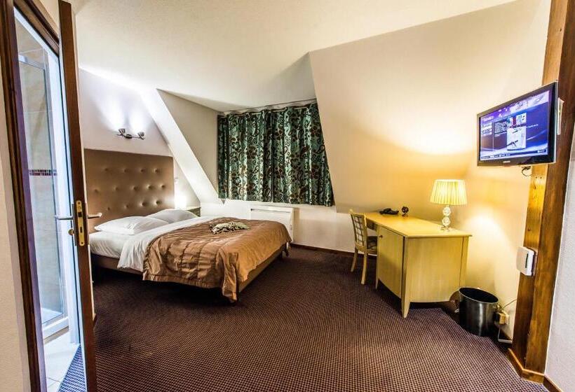 غرفة سوبيريور, Hôtel Au Lion