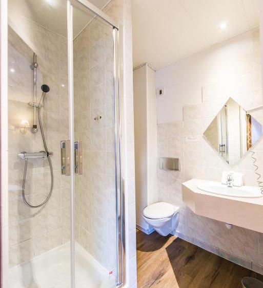 غرفة قياسية, Hôtel Au Lion