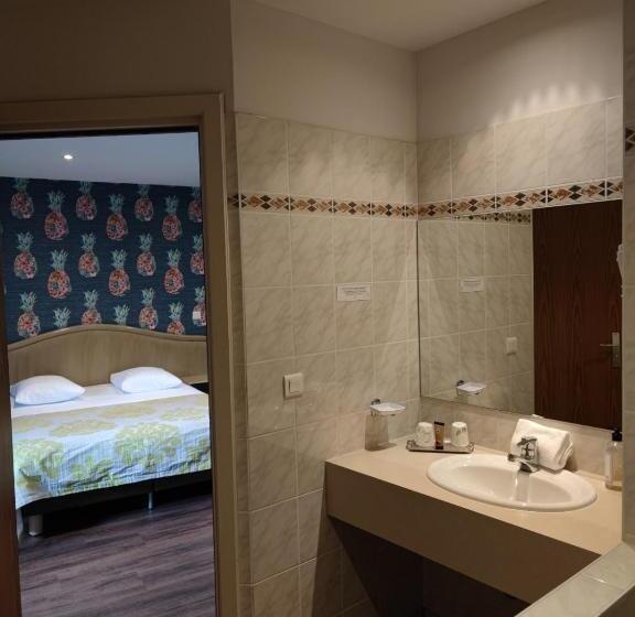 جناح دوبلكس, Hôtel Au Lion