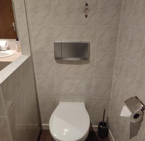 جناح دوبلكس, Hôtel Au Lion