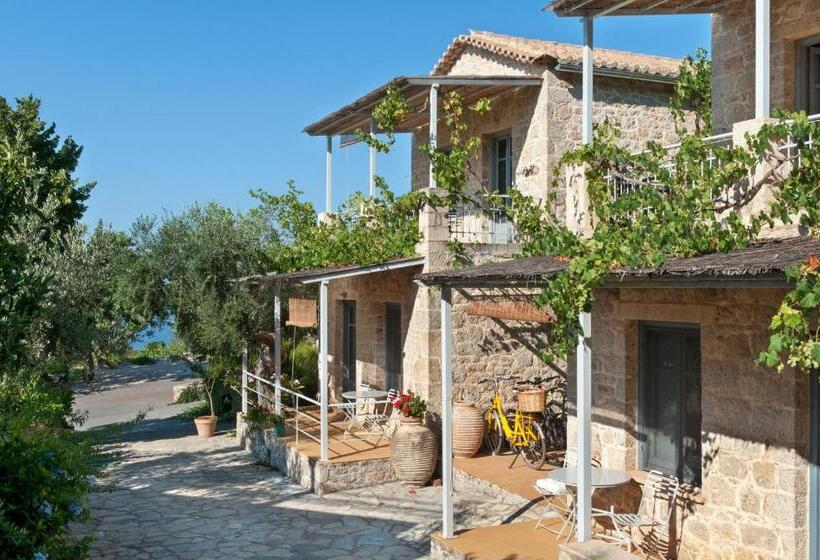 חדר סטודיו סטנדרד, Notos