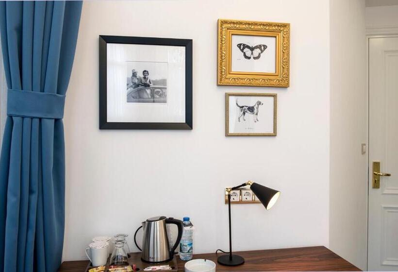 غرفة ديلوكس فردية, Rodosto