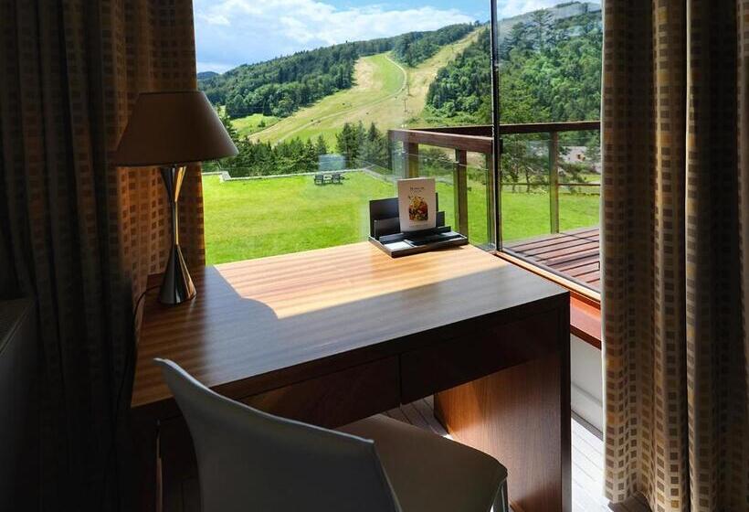 اتاق اجرایی, Spa Dr Irena Eris Krynica Zdrój