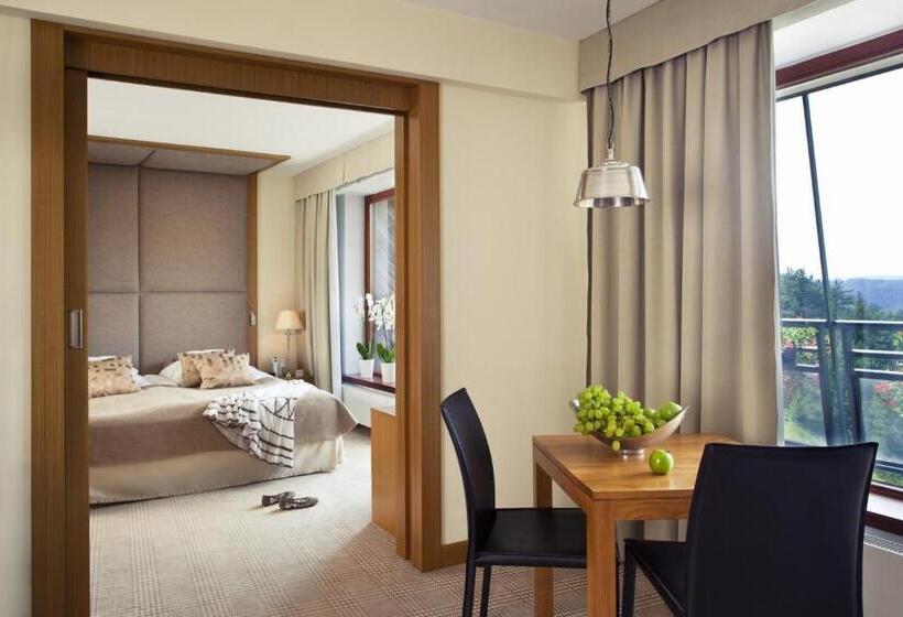 آپارتمان 1 خوابه, Spa Dr Irena Eris Krynica Zdrój