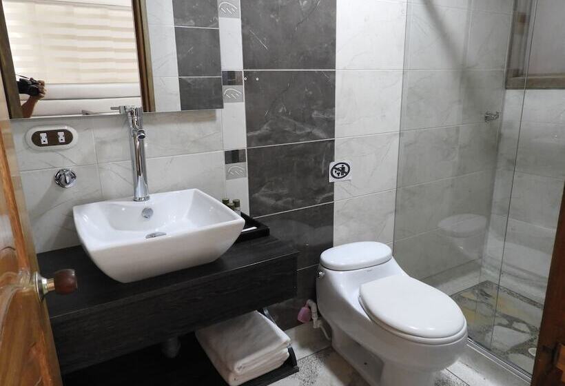 اتاق استاندارد یک نفره, Airport Travel