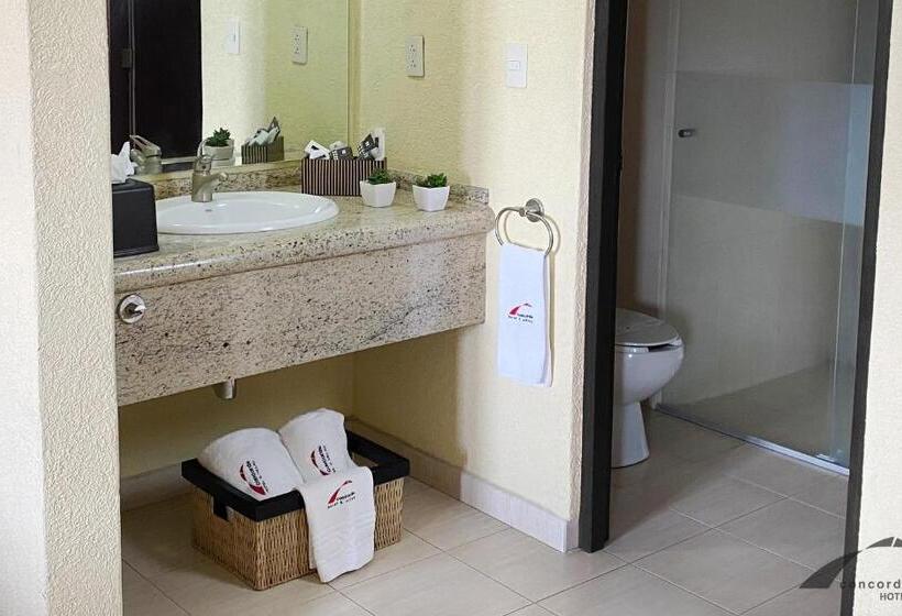 带大床的标准间, Concorde Toluca