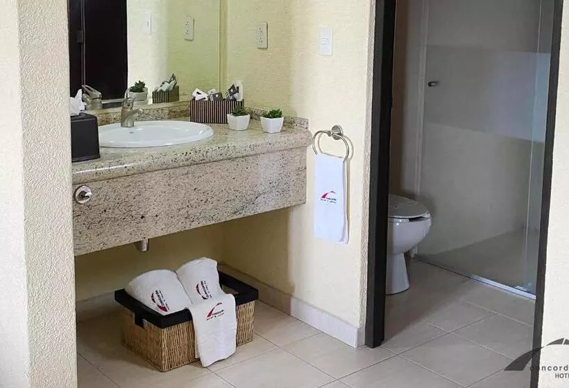 اتاق استاندارد با تخت بزرگ, Concorde Toluca